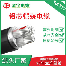厂家批发铝芯电缆 YJLV22国标单2345芯2.5-300平方户外架空电线