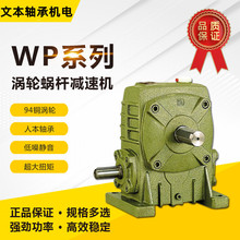 WP系列蜗轮蜗杆减速机WPDS 135 155 175 200 250减速箱齿轮箱变速