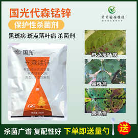 国光80%代森锰锌月季黑斑病疮痂黑星病斑点落叶病杀菌剂花卉花药