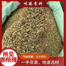 小茴香 产地直营中药材调味料可打粉可批发量大从优