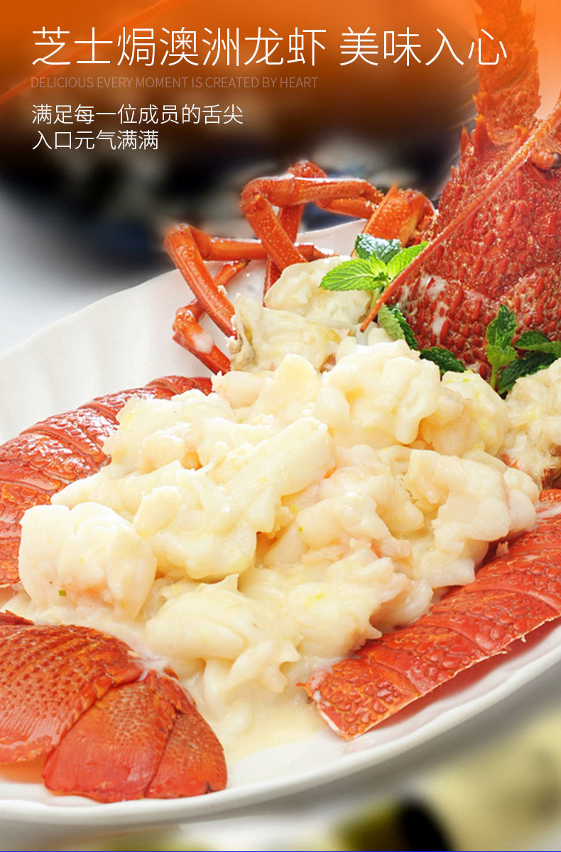 澳洲红龙虾鲜活超大急冻大龙虾青龙波士顿小龙虾鲜活特大号龙虾