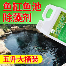 鱼池用鱼缸除藻剂去苔剂青苔清除剂去除绿水褐藻绿藻黑毛藻灭藻剂