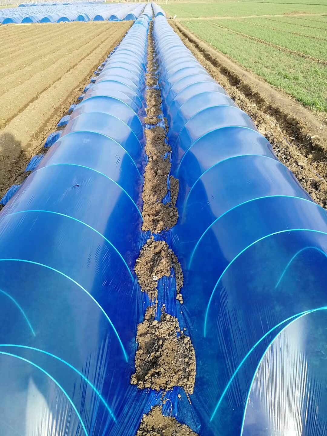 拱棚杆玻璃纤维棒5mm67810毫米支架基地育苗农用高强度小拱棚杆