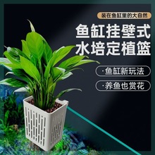 鱼缸水培定植篮鱼缸家用水草种植壁挂水植物定植篮鱼缸水养水生