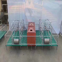 现代养殖设备母猪产床  保育两用 一体床复合板  定位栏