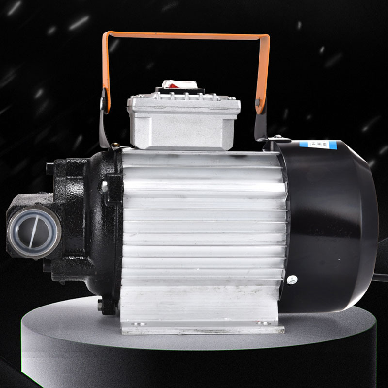 220v大功率750w齿轮泵柴油泵抽油机加油器机油泵