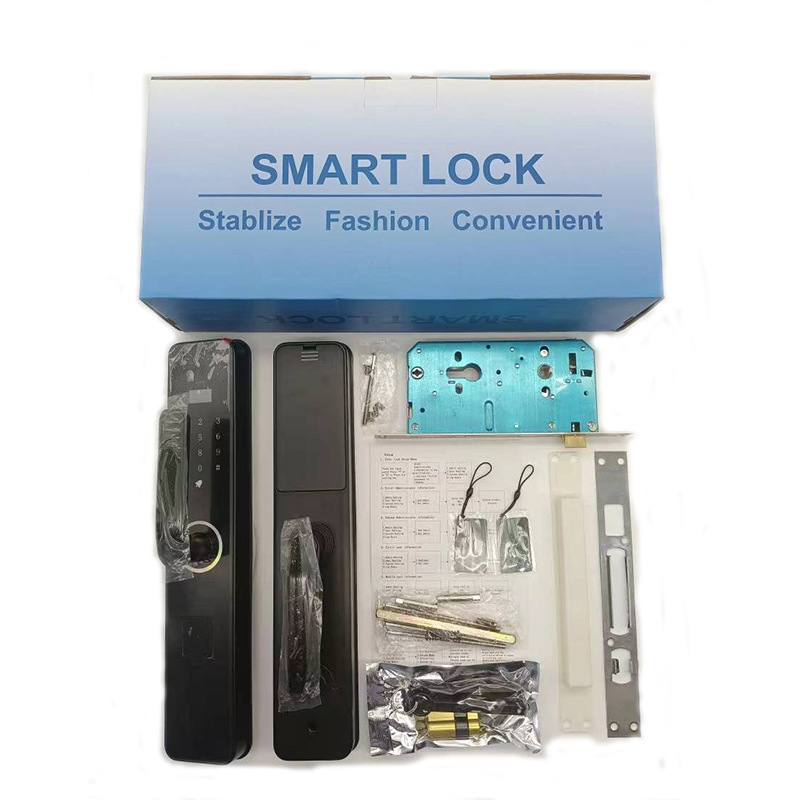 Graffiti Fingerprint Lock Electronic Lock Card Lock Apartment Smart Lock Cross-Border English Version Password Lock Smart Lock