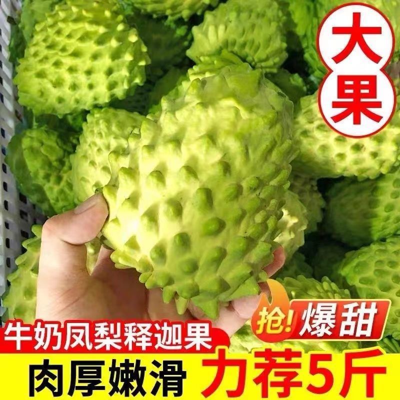 牛奶凤梨释迦水果新鲜当季进口番荔枝大释迦整箱1-5斤非台湾水果