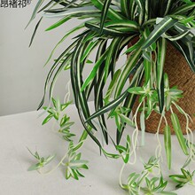 垂吊花篮装饰仿真绿色手感吊兰叶 餐厅隔断仿真植物墙装饰绿萝叶