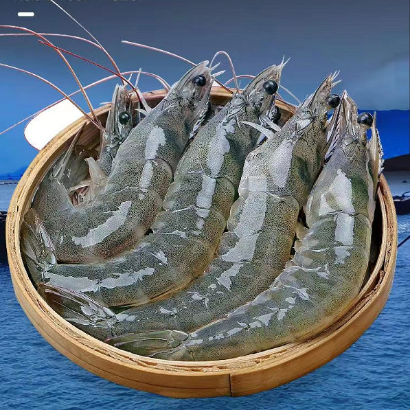 厄瓜多尔白虾大虾现货南美海虾毛重4斤净重3.