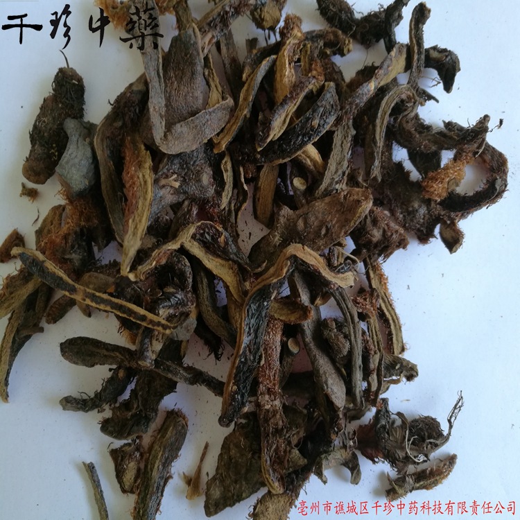 千珍中药科技 骨碎补 毛姜 申姜 严格筛选 实物拍照一目了然 1斤