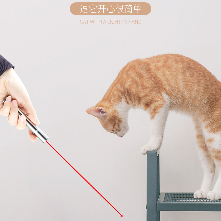 红外线红色紫光逗猫笔usb直充激光图案宠物用品工厂直销逗猫玩具