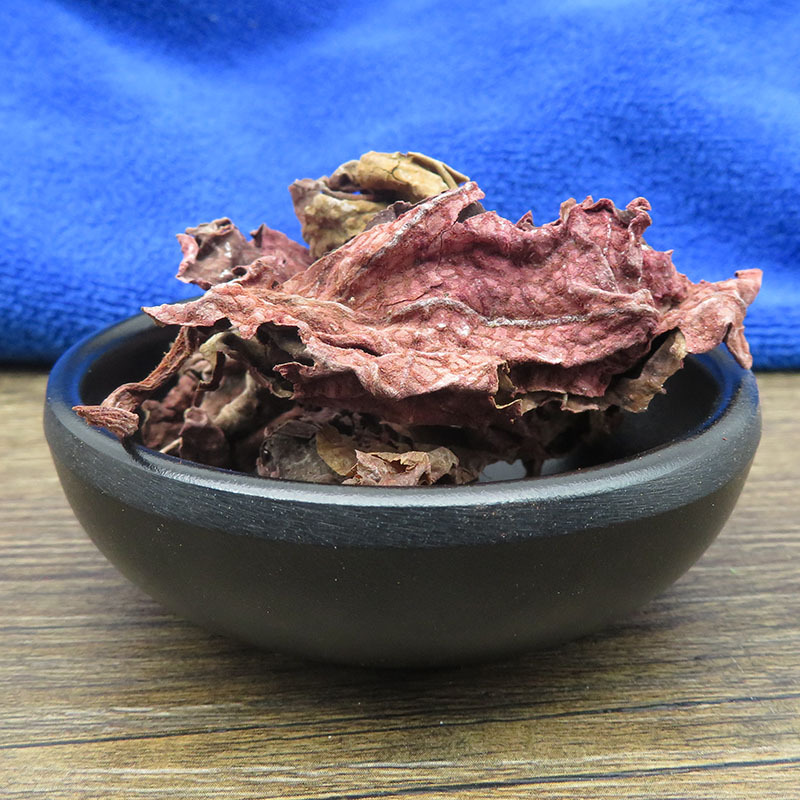 红天葵 500g克包邮 紫背天葵 散血子 红水葵 观音菜