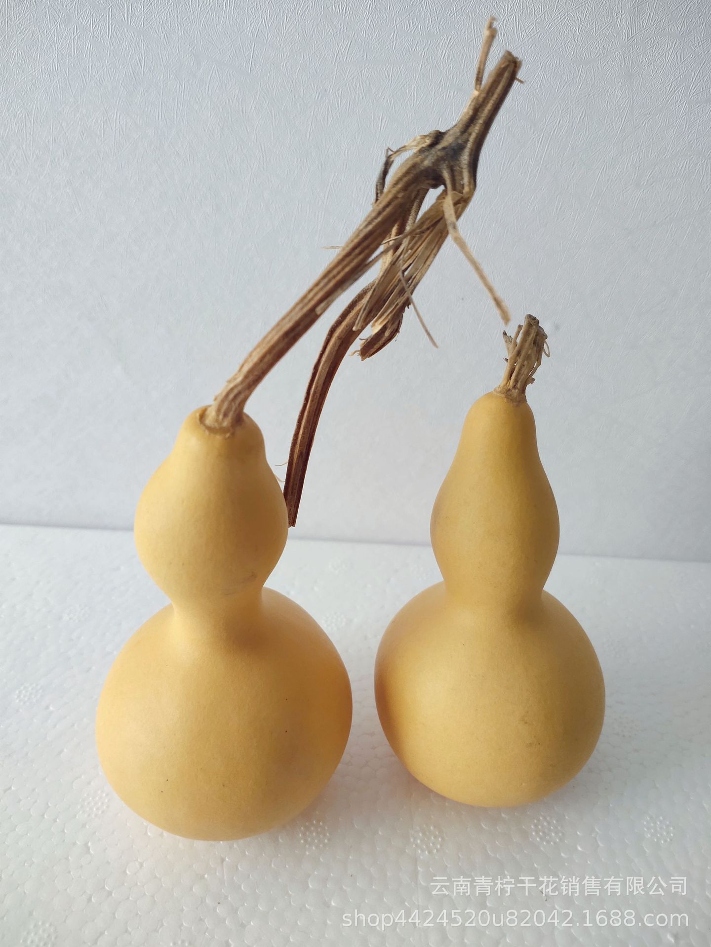 小葫芦小葫芦手捻葫芦文玩葫芦禅意干花拍摄道具