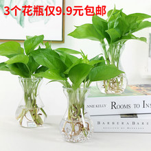创意简约水培植物玻璃花瓶花盆透明风信子水养绿萝 观音竹插花瓶