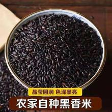 东北黑米500克农家自产新米黑香米粥五常香糯紫米大米杂粮一斤