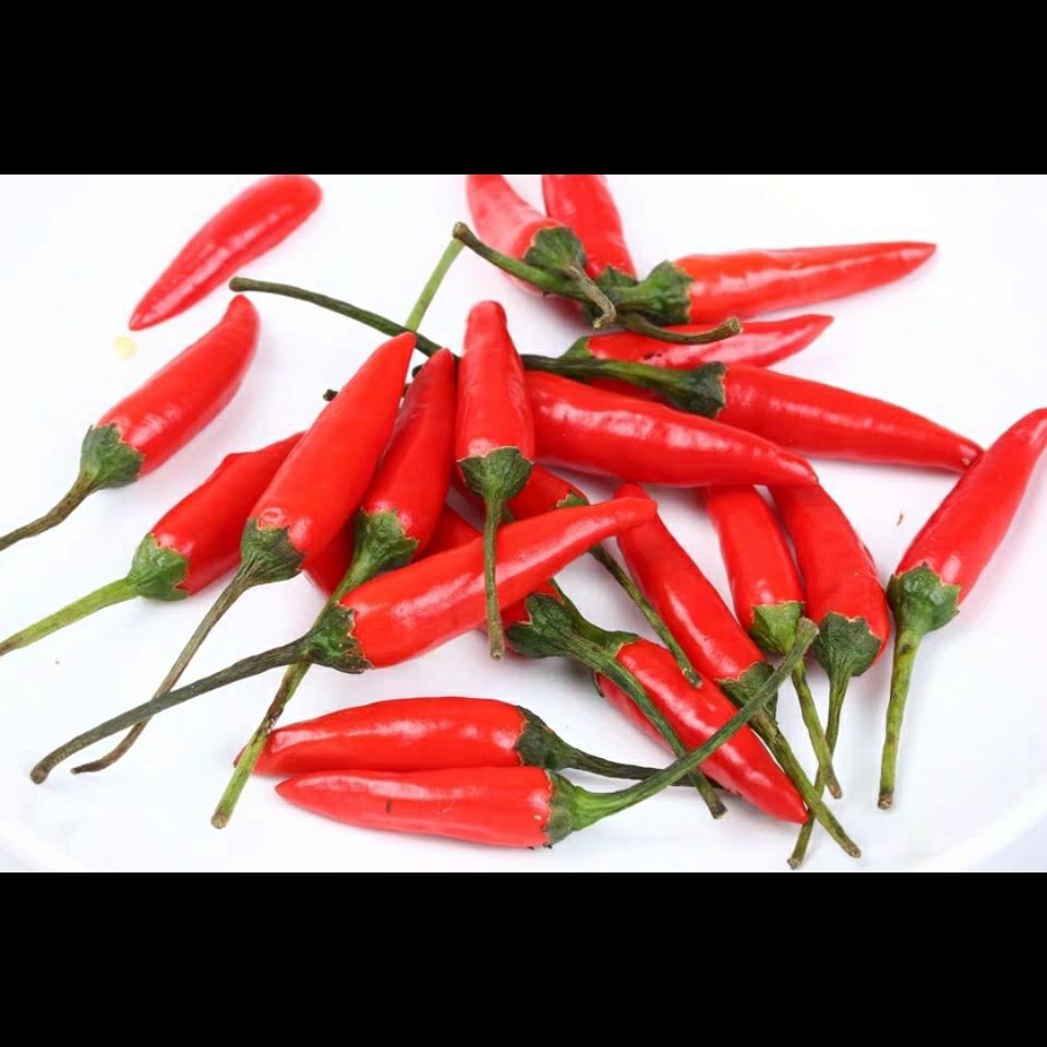 云南辣椒 小米辣 朝天椒 德宏特产芒市新鲜小米辣 小米辣椒