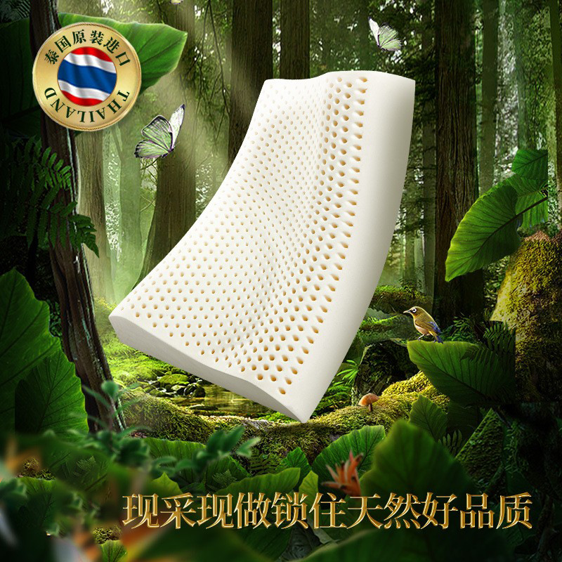正品特拉雷乳胶枕泰国天然橡胶枕头成人波浪护颈枕不变形枕芯现货