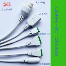 闸机尾线 人脸识别机尾线 门禁机尾线，摄像机尾线 安防监控线