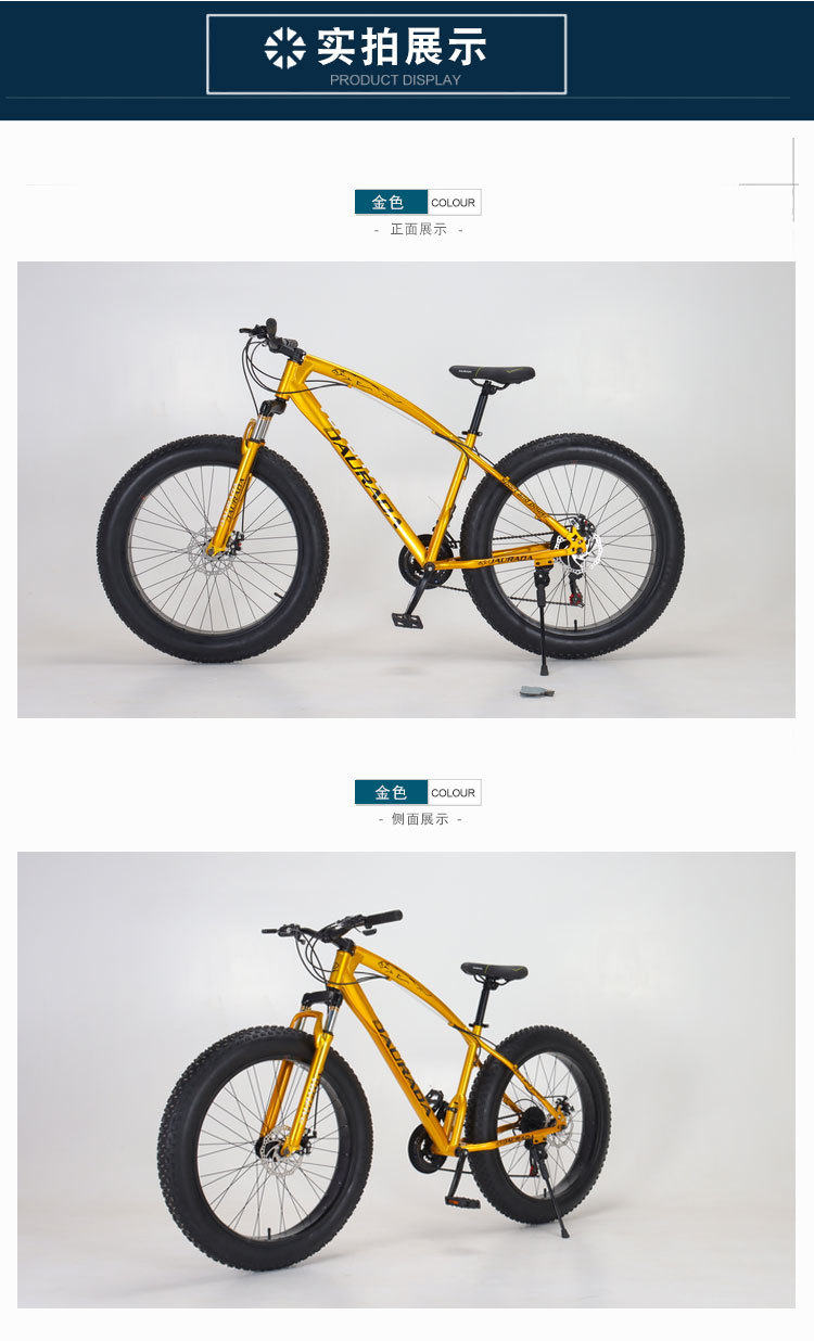 0宽大轮胎减震碟刹沙滩自行车