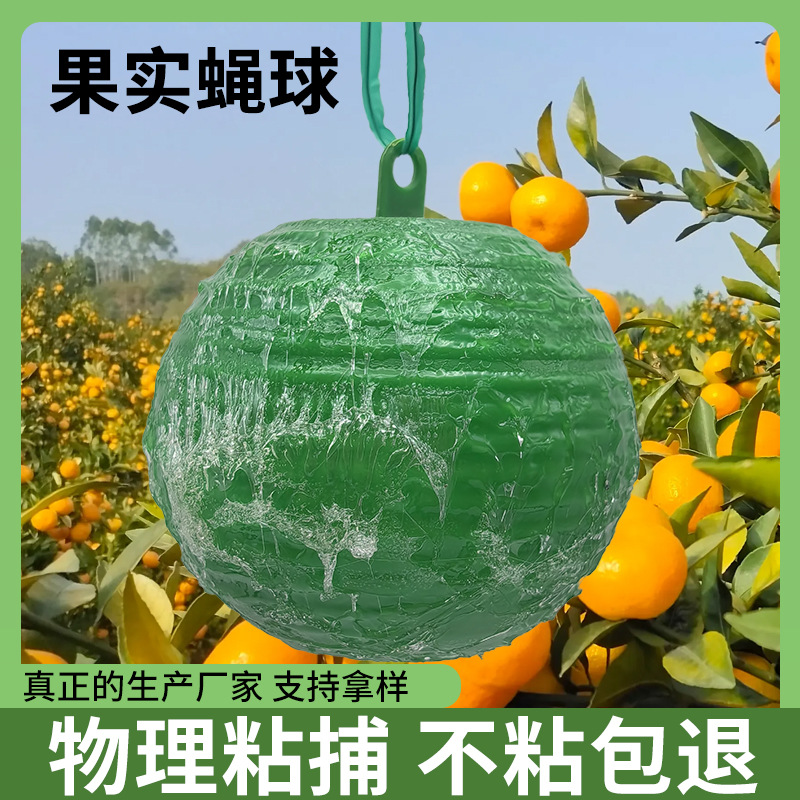 果蝇球诱蝇球黄色绿色诱虫球柑橘针蜂果实蝇蚊虫球陷阱粘蝇球果园