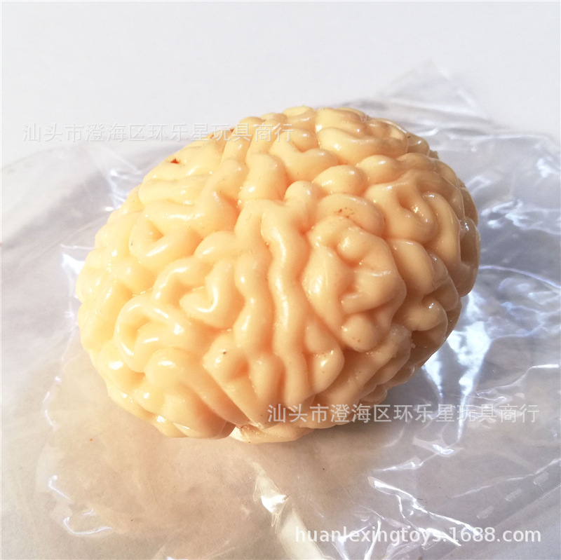 tpr仿真大脑 立体脑浆平面仿真脑 恐怖人体器官 软胶粘性吓人玩具