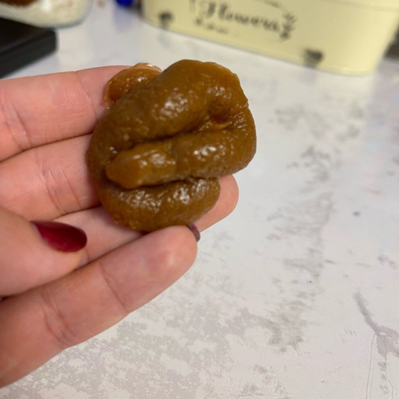 整人玩具整蛊整人假便发泄大便仿真软恶心搞怪沙雕礼物假粑粑玩具