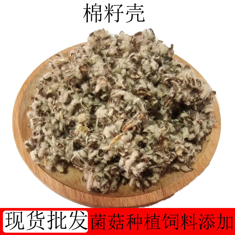 供应棉籽壳食用菌培育中壳中绒棉籽壳大棚培育木耳种植