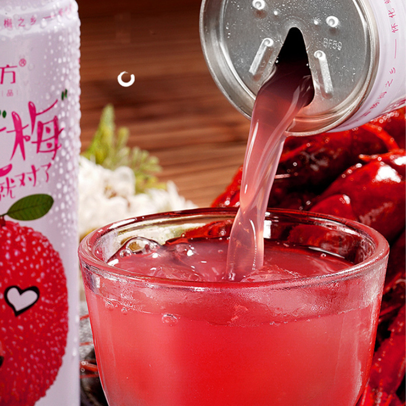 网红冰镇杨梅汁240ml*8罐