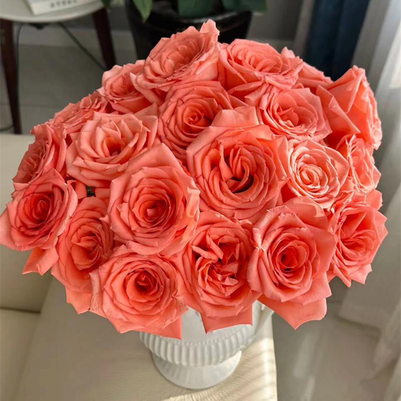 情人节玫瑰花鲜花批发云南昆明鲜花直批真花鲜花一起来摆摊吧婚庆