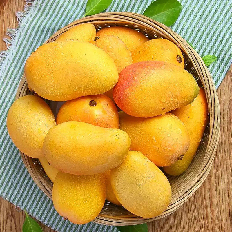 小台芒海南芒果新鲜芒果孕妇水果批发应季水果10斤装整箱包邮批发