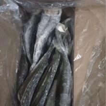 阿拉斯加黑鳕鱼进口鳕鱼肉质鲜嫩 鳕鱼4-6磅/条