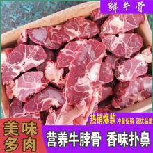 正宗多肉牛蝎子牛脊骨原切牛脖骨熬汤火锅红烧清真牛骨头批发商用