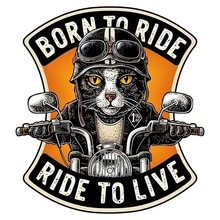 炫酷猫咪骑士摩托车电动车贴创意哈雷机动车装饰卡通防水汽车贴纸