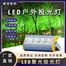 led聚光投光灯照树灯一束光投光灯广告招牌草坪绿化led七彩射灯