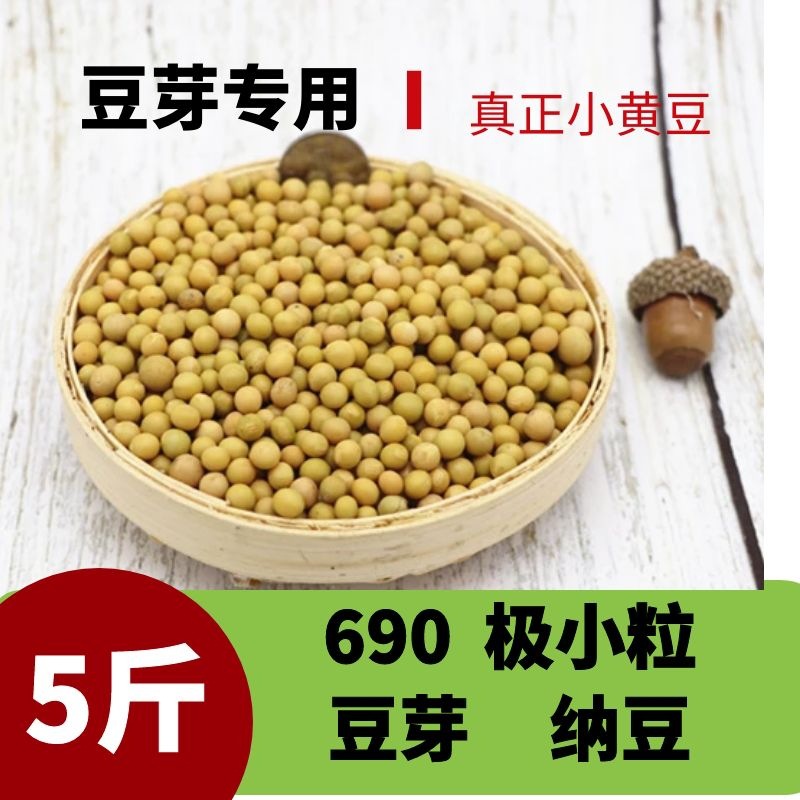 东北黑龙江小粒黄豆690生发豆芽纳豆专用小黄金黄豆浆