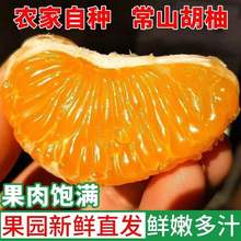 2024年现货常山胡柚新鲜柚子原厂地当季孕妇水果老树胡柚一件代发