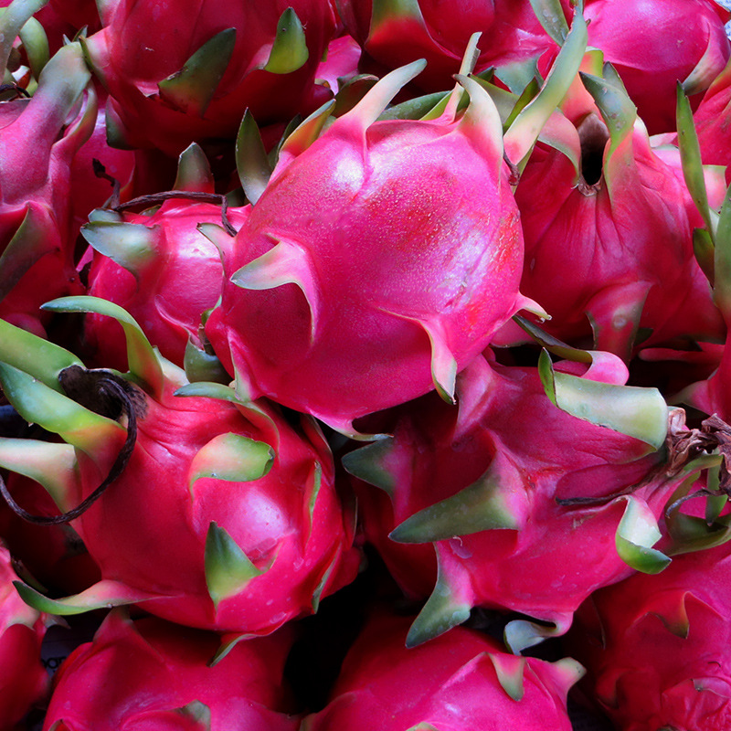 云南金都一号红心火龙果4.