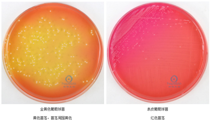 甘露醇高盐琼脂 mannitol salt agar hb4128 250g 青岛海博生物