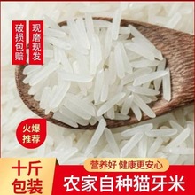 宁化河龙贡米梯田香稻福建大米10斤装新米长粒香米礼品装包邮