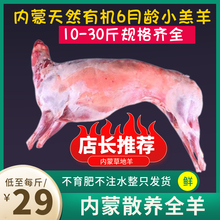 烤全羊整只10斤至30斤小羔羊烤羊腿烤羊排食品内蒙古烤整只羊商用