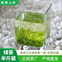 2024日照绿茶新茶茶叶绿茶特级绿茶春茶秋茶新茶浓香型250g散装