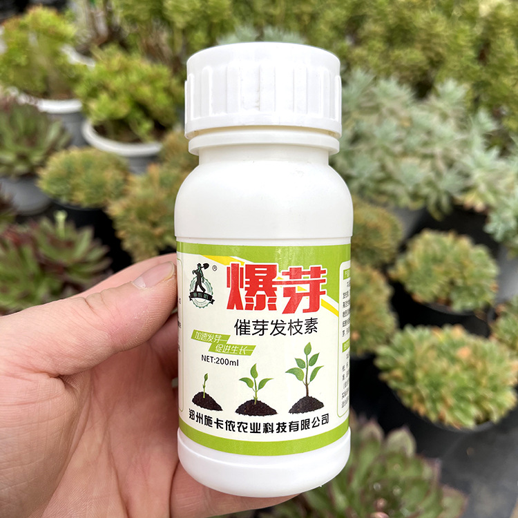 大树移栽吊针液植物催芽素母液果树爆芽营养液原液果树肥料输液袋