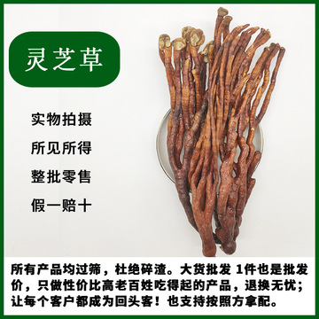 中药材 长白山特产 野生整枝灵芝草500g克包邮 又名鹿角灵芝 林芝