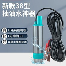 电动抽油泵12V24V加油神器柴油油抽子吸油泵油枪小型加油机抽水泵