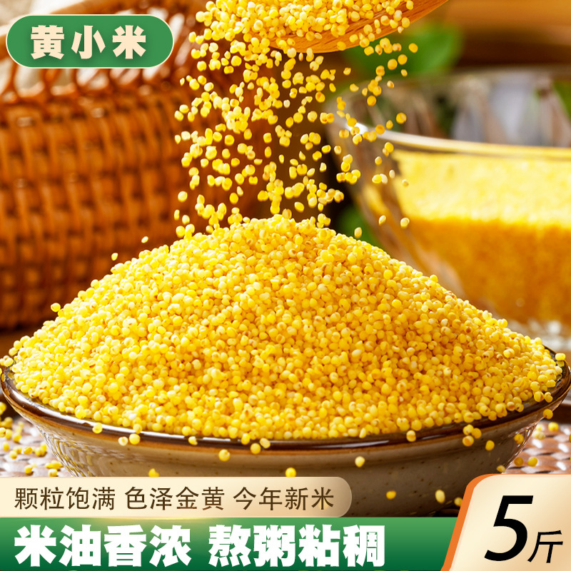 黄小米5斤 新米小黄米小米粥农家小米粥米食用小米粗粮小米粮油