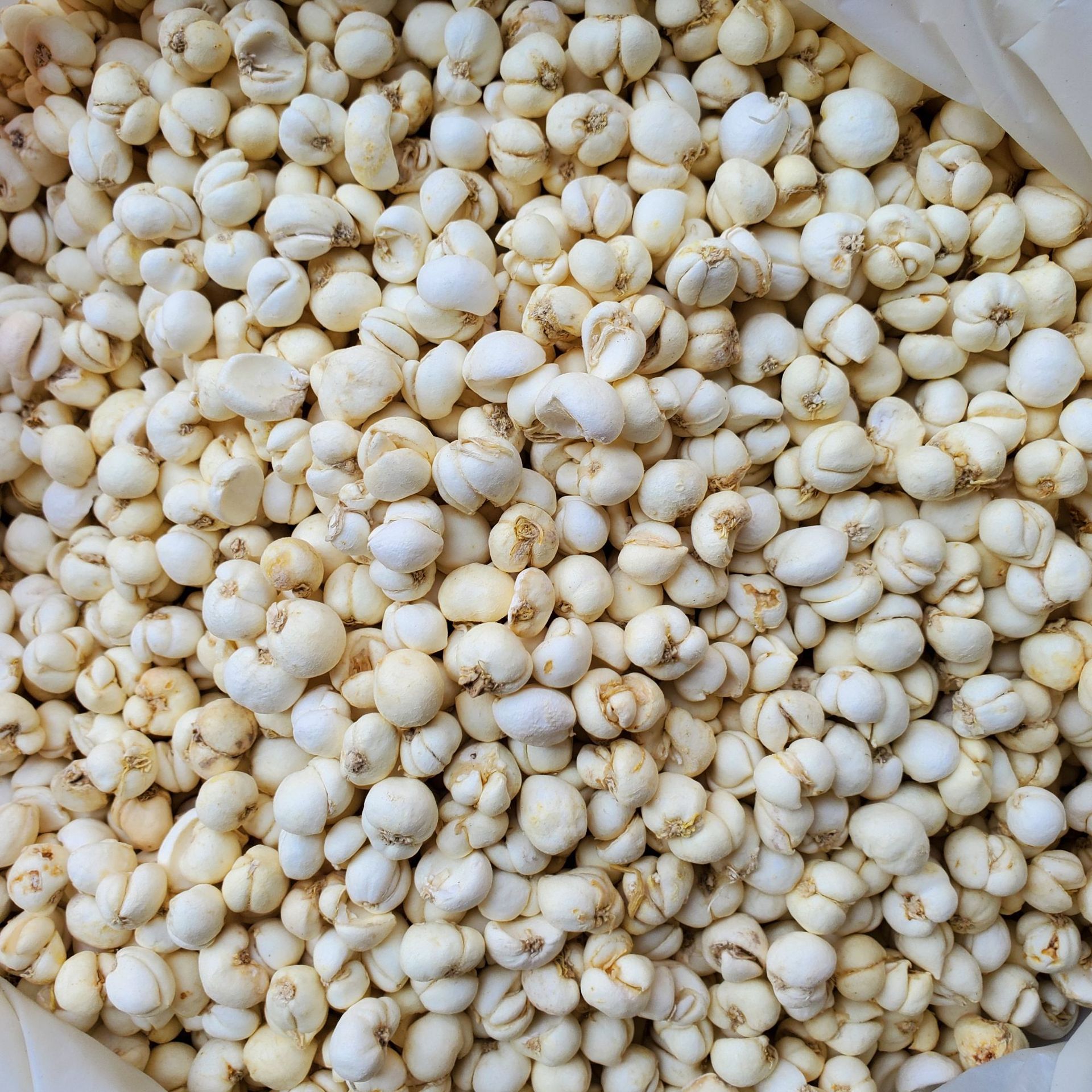 批发中药材 川贝 川贝母 250克/袋 实物拍摄川贝