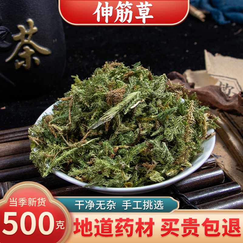 【精选货】伸筋草中药材 500克 特级野生正品小舒筋草泡脚药包