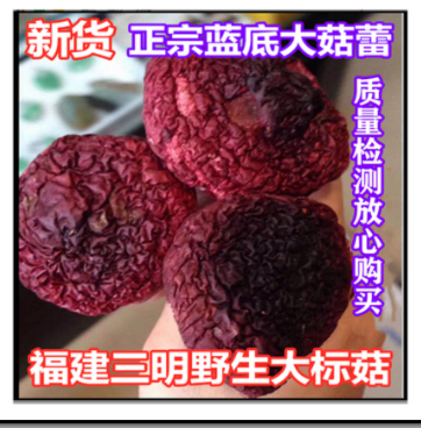 23新货福建三明野生蓝底大红菇红椎菌月子菇红蘑菇500g-阿里巴巴
