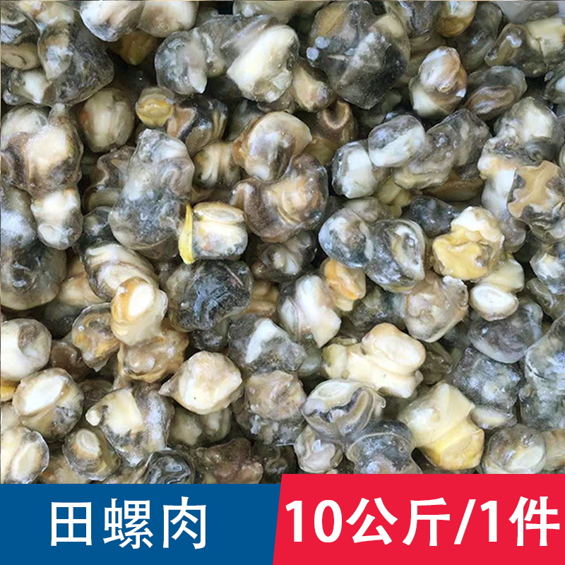 冷冻田螺肉批发10公斤/件 河螺肉 福寿螺肉 冷冻海鲜水产烧烤食材